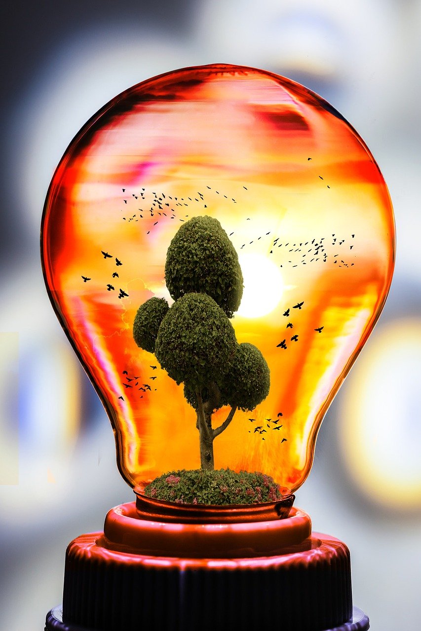 eco, nature, bulb-2221567.jpg